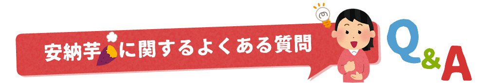 安納芋に関するよくある質問